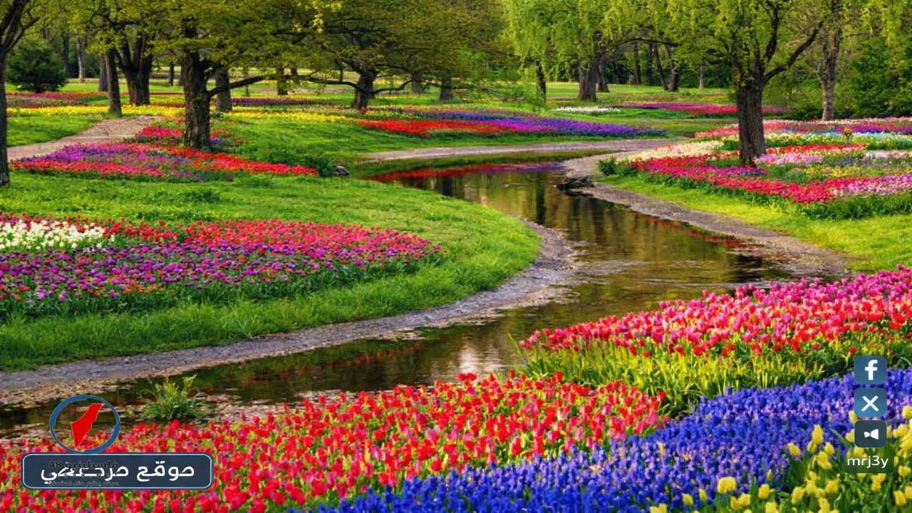 تحسن تدريجي في حالة الطقس تزامناً مع بداية فصل الربيع عام 2026